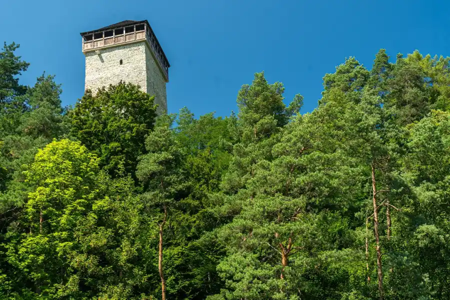 Atrakcja Muszyny zamek wieza wsrod drzew